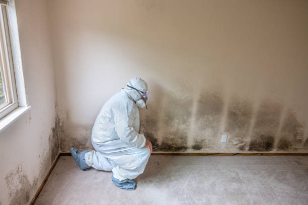 Asbestos and Lead Testing During Mold Inspection in Montura, FL